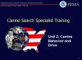 Canine Search Specialist Training PowerPoint PPT Presentation