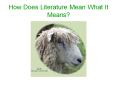 How Does Literature Mean What It Means PowerPoint PPT Presentation