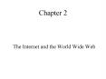 The Internet and the World Wide Web PowerPoint PPT Presentation