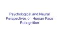 Psychological and Neural Perspectives on Human Face Recognition PowerPoint PPT Presentation