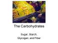 The Carbohydrates PowerPoint PPT Presentation