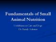 Fundamentals of Small Animal Nutrition PowerPoint PPT Presentation