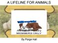 A LIFELINE FOR ANIMALS PowerPoint PPT Presentation