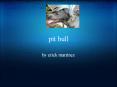 pit bull PowerPoint PPT Presentation