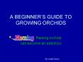 A BEGINNERS GUIDE TO GROWING ORCHIDS PowerPoint PPT Presentation