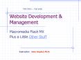 Website Development PowerPoint PPT Presentation