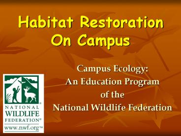Habitat Restoration On Campus