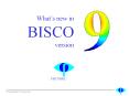 Up to BISCO version 8w bitmap borders were always considere PowerPoint PPT Presentation