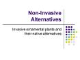 NonInvasive Alternatives PowerPoint PPT Presentation