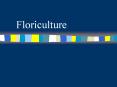 Floriculture PowerPoint PPT Presentation