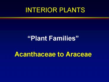 Plant Families Acanthaceae to Araceae