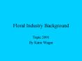 Floral Industry Background