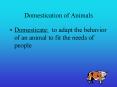 Domestication of Animals PowerPoint PPT Presentation