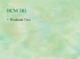 HCM 381 PowerPoint PPT Presentation