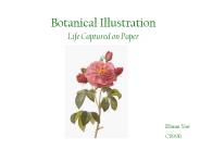 Botanical Illustration