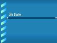 Life Cycle PowerPoint PPT Presentation