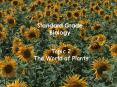 Topic 2 The World of Plants PowerPoint PPT Presentation