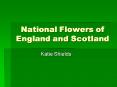 National Flowers of England and Scotland PowerPoint PPT Presentation