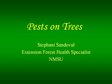 Host, size & shape, and egg galleries aid in identificatio