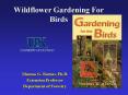 Wildflower Gardening For Birds PowerPoint PPT Presentation