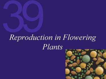Reproduction in Flowering Plants