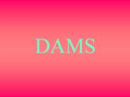 DAMS