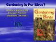 Gardening Is For Birds PowerPoint PPT Presentation