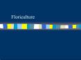 Floriculture PowerPoint PPT Presentation