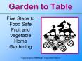 Garden to Table Food Safety. 2 ... If ill, especiall PowerPoint PPT Presentation