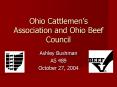 Ohio Cattlemens Association and Ohio Beef Council PowerPoint PPT Presentation