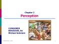 Chapter 2 Perception PowerPoint PPT Presentation