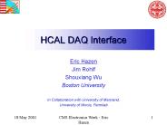 HCAL DAQ Interface