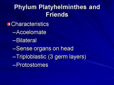 Phylum Platyhelminthes and Friends