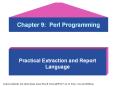Chapter 9: Perl Programming PowerPoint PPT Presentation