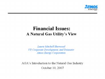 Financial Issues: A Natural Gas Utilitys View