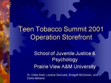 Teen Tobacco Summit 2001 Operation Storefront