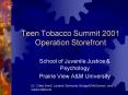 Teen Tobacco Summit 2001 Operation Storefront