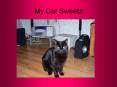 My Cat Sweetz PowerPoint PPT Presentation