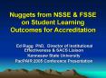 Nuggets from NSSE PowerPoint PPT Presentation