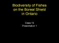 128 native, 19 introduced fish species in Ontario. .. PowerPoint PPT Presentation