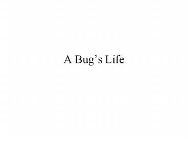 A Bugs Life