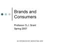 Brands and Consumers PowerPoint PPT Presentation