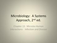 Herpes. Pathogens that Infect During Pregnancy and Birth ..