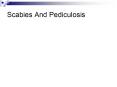 Scabies And Pediculosis PowerPoint PPT Presentation