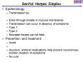 Genital Herpes Simplex PowerPoint PPT Presentation