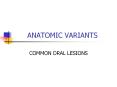 ANATOMIC VARIANTS PowerPoint PPT Presentation