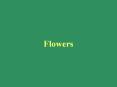 Flowers PowerPoint PPT Presentation
