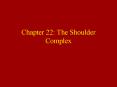 Chapter 22: The Shoulder Complex PowerPoint PPT Presentation