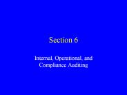 Internal, Operational, and Compliance Auditing