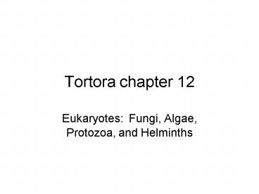 Tortora chapter 12